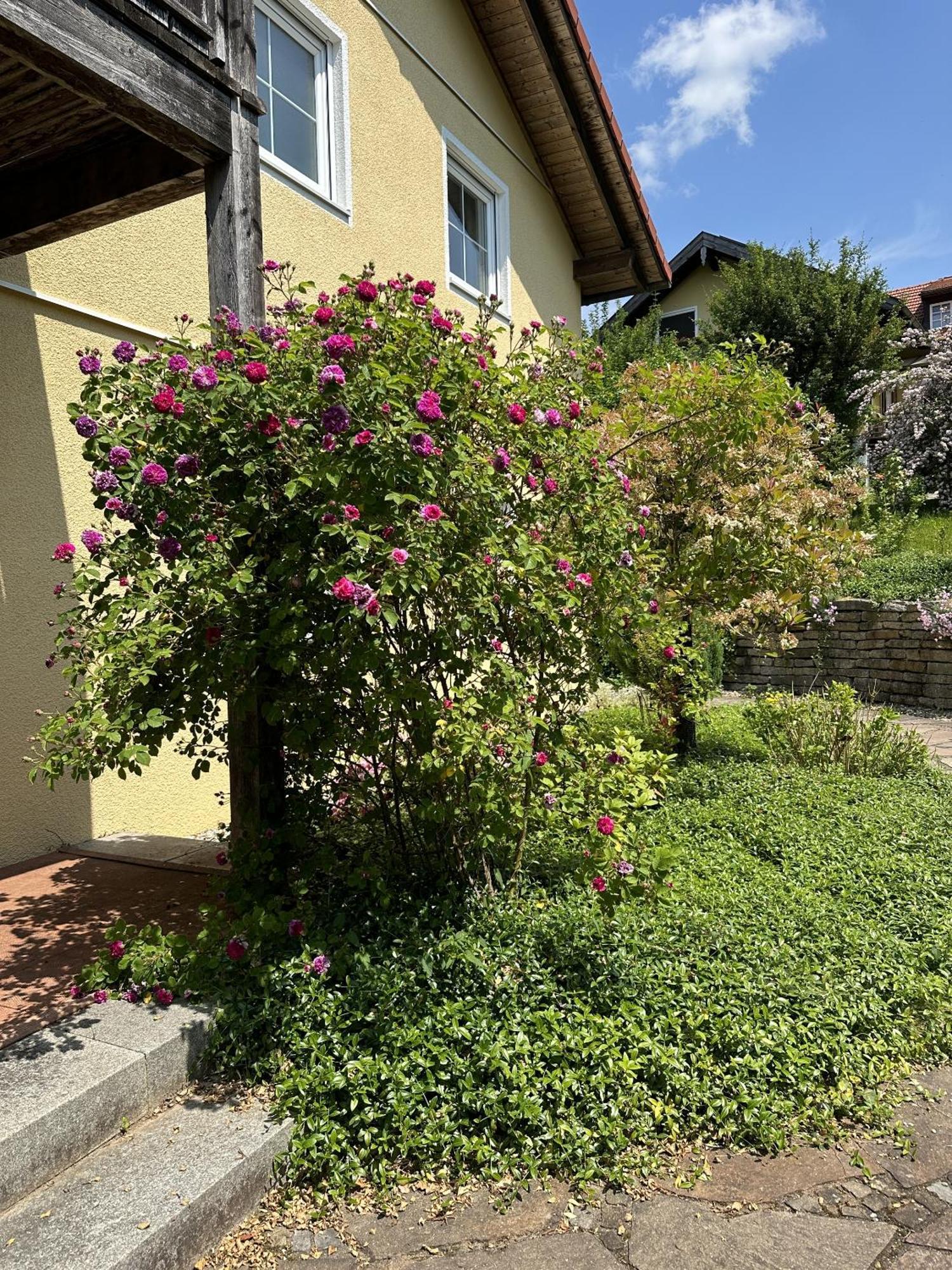 Appartamento Meywohnen Bad Endorf Esterno foto